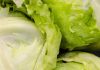 Un brote masivo de parásitos en lechuga cobra vidas Lechuga Iceberg. Foto Natalia Blauth para Unsplash