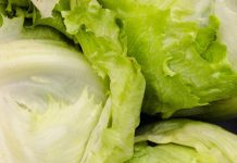 Un brote masivo de parásitos en lechuga cobra vidas