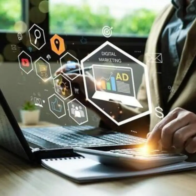 Diseñador web